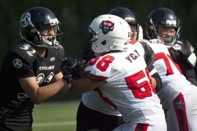 爱游戏官网-橄榄球总决赛掀起高潮，洞庭旋风队鏖战海滨麒麟队，老将里程碑之夜——回归即成焦点的简单介绍