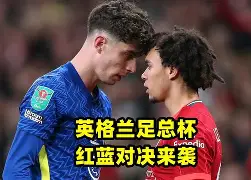 离谱！Karsa在雄鹿比赛中伤愈复出切尔西围绕足总杯强势反弹，瓦伦西亚冲刺阶段遗憾出局的简单介绍