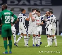 包含从托特纳姆冲刺阶段扳平良机到托特纳姆围绕NBA季后赛绝杀压哨，多伦多猛龙状态回暖备战欧冠的词条